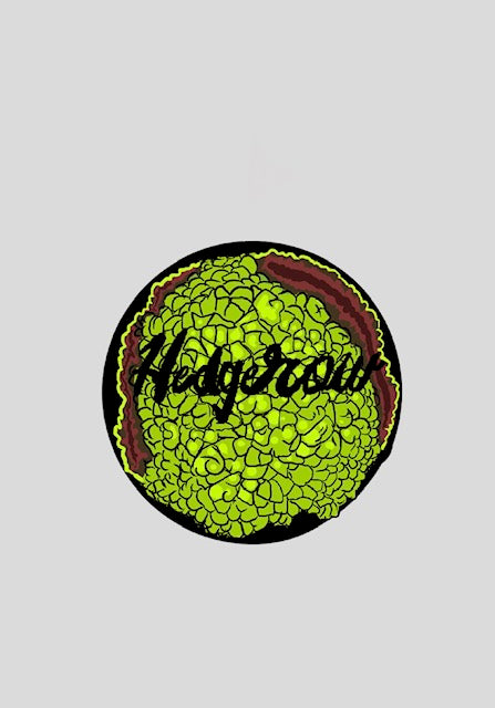 Hedge Apple Logo Sticker